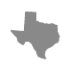 Texas Icon