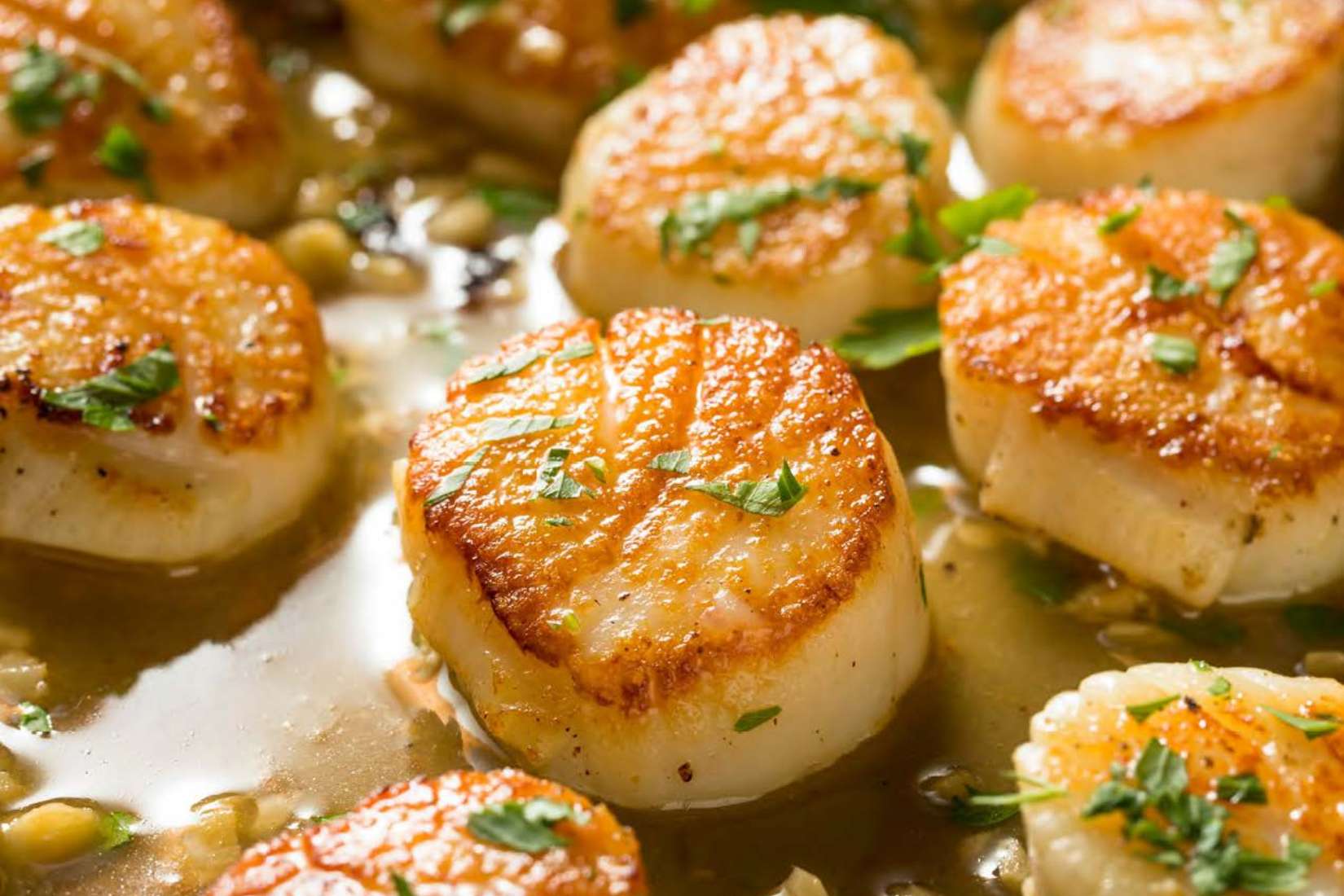 Bay Winds® Faroe Islands Sea Scallops